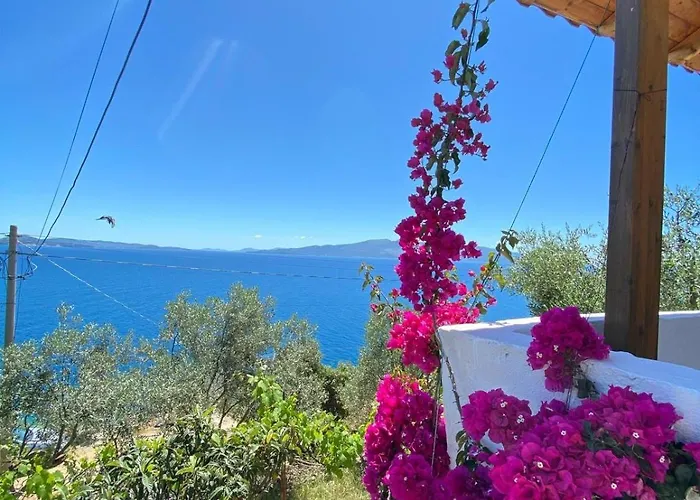 Small House, * Saranda